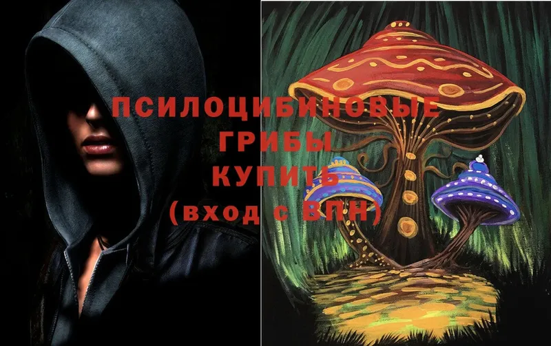 Галлюциногенные грибы мухоморы  blacksprut ссылки  Лермонтов 